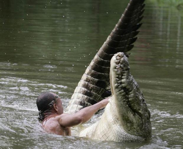 The Crocodile Whisperer