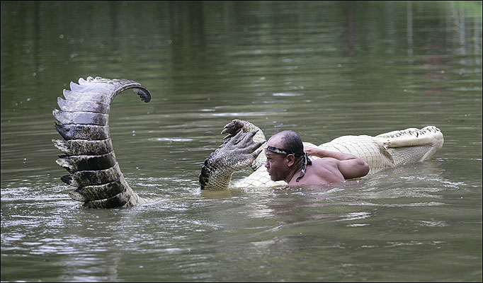 The Crocodile Whisperer