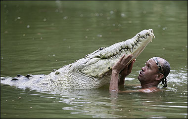 The Crocodile Whisperer