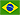 Português brasileiro